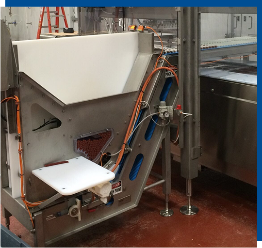 Custom Meat Stick Singulation System Enhances Packaging Automation